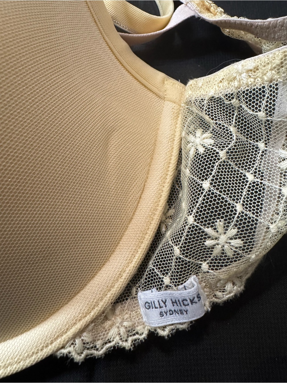 Gilly Hicks Hollister Powder Yellow Lace Bra - NWT - Size 36B - Picture 2 of 6